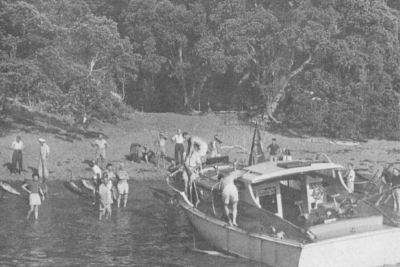 Screen Shot 2019-08-02 at 9.33.35 AM