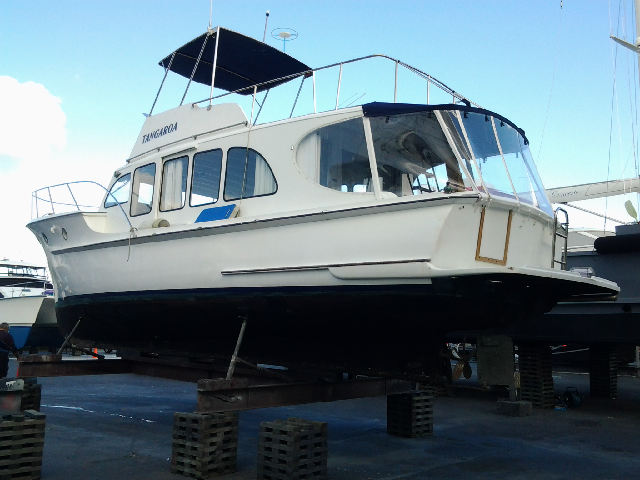 TANGAROA @ GH 26.4.16-9