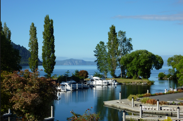 Screen Shot 2016-06-07 at 7.30.08 PM