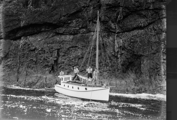 Unknown flush-decker