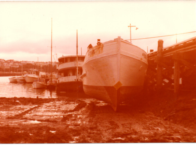 Screen Shot 2016-08-03 at 1.24.57 PM