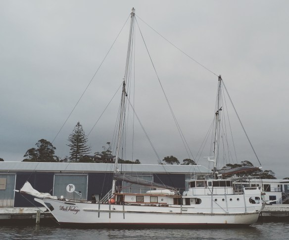 20160731_232527890_iOS 1