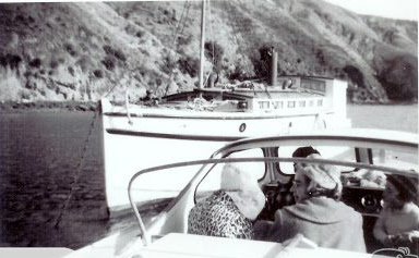 screen-shot-2016-11-08-at-8-46-25-pm