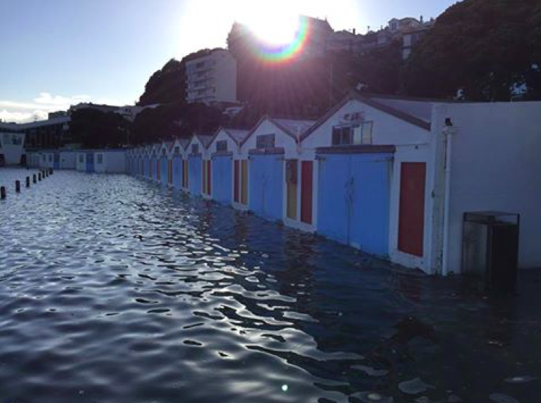 screen-shot-2016-11-19-at-6-24-20-am