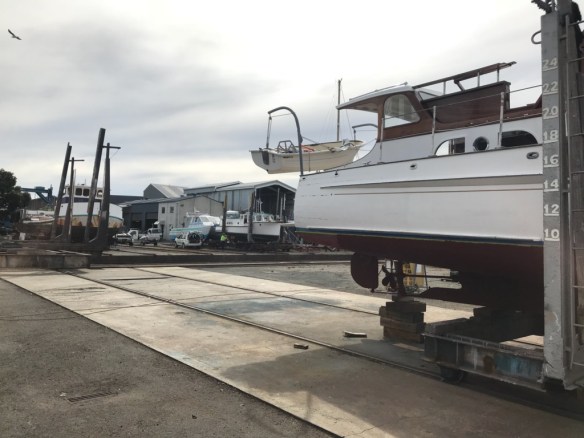 LADY KARITA + LADY ELLISON