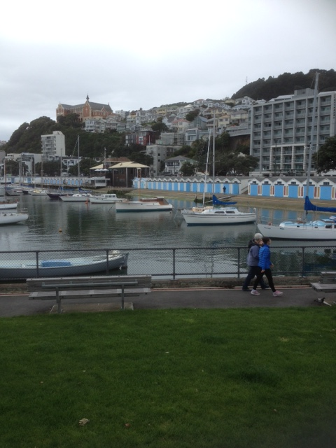 little-tasman-wellington-nov2016-9