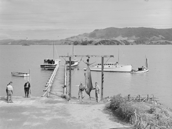 mystery-launch-whangaroa-1938