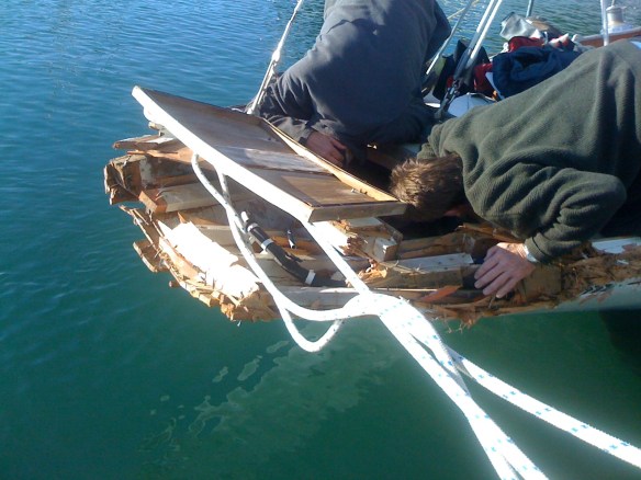 ngataringa-13-7-10-1