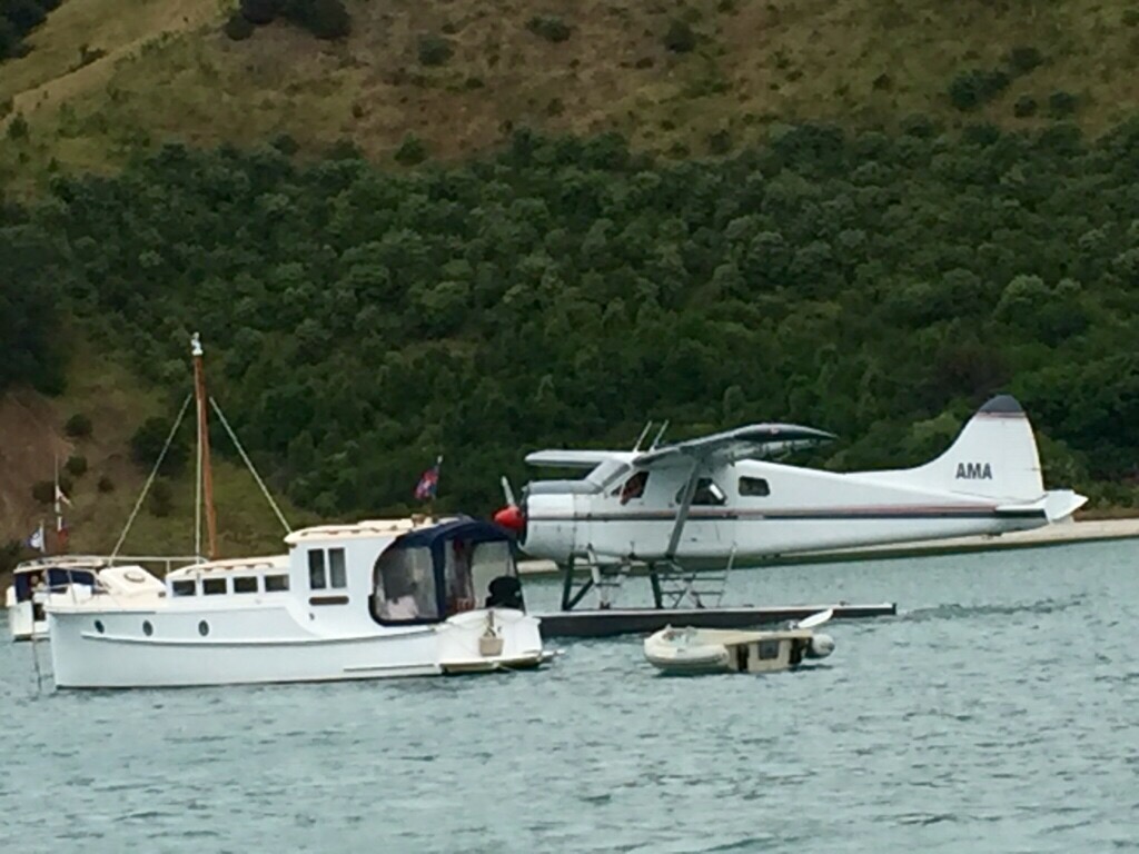 raindance-aotearoa-ii