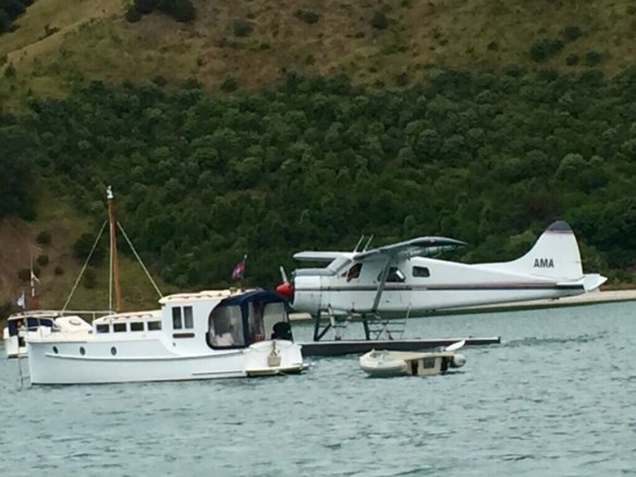 raindance-aotearoa-ii