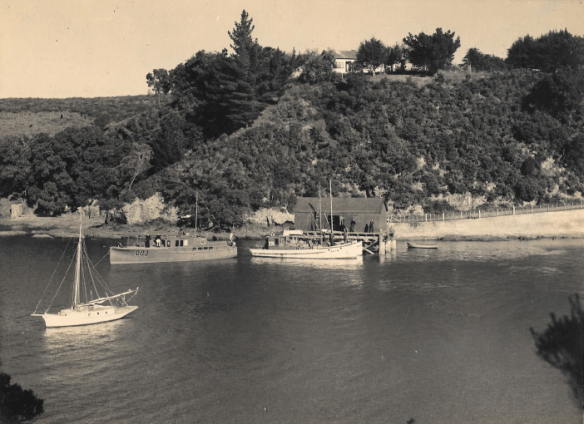 screen-shot-2017-01-12-at-10-07-08-pm