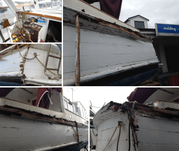 screen-shot-2017-01-31-at-11-07-10-pm