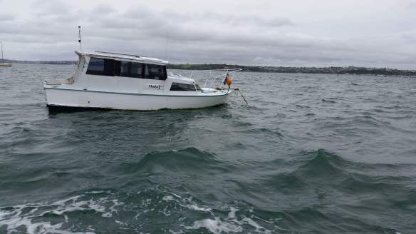 received_10207909213990605