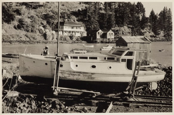 Te papa Coastal community landscape scene, 1950s, New Zealand, by Eric Lee-Johnson