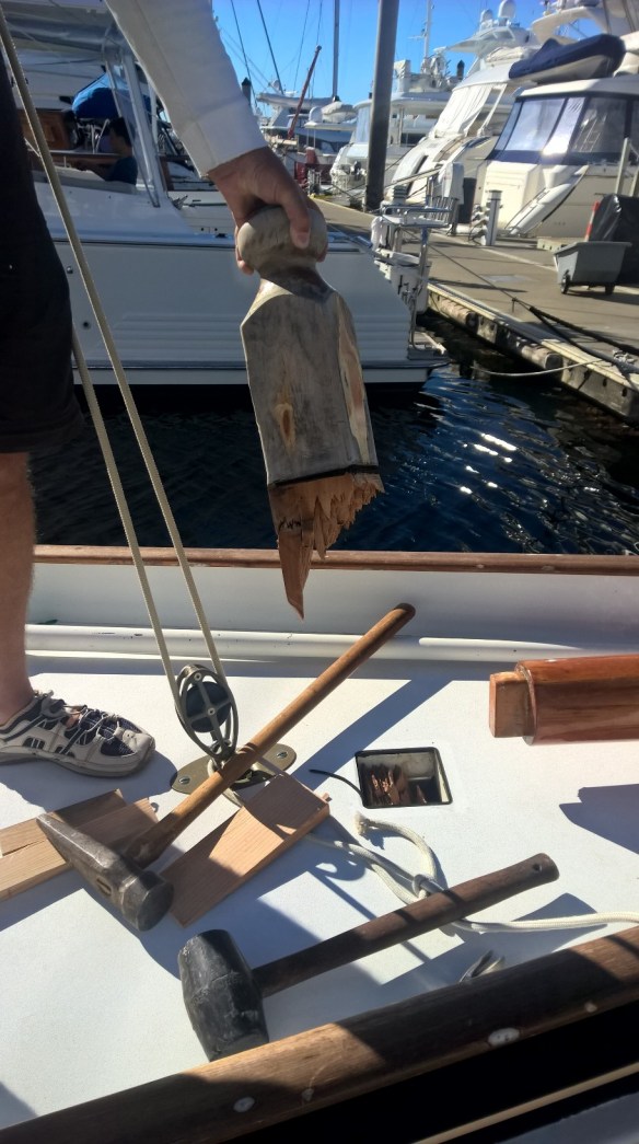 WP_20170303_17_28_52_Pro