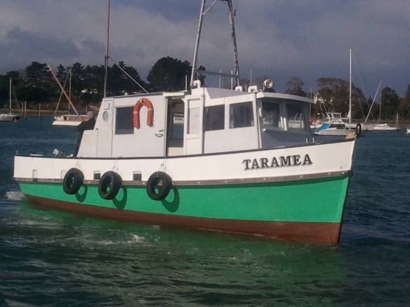 17796498_10155231113927783_2036131008710843219_n