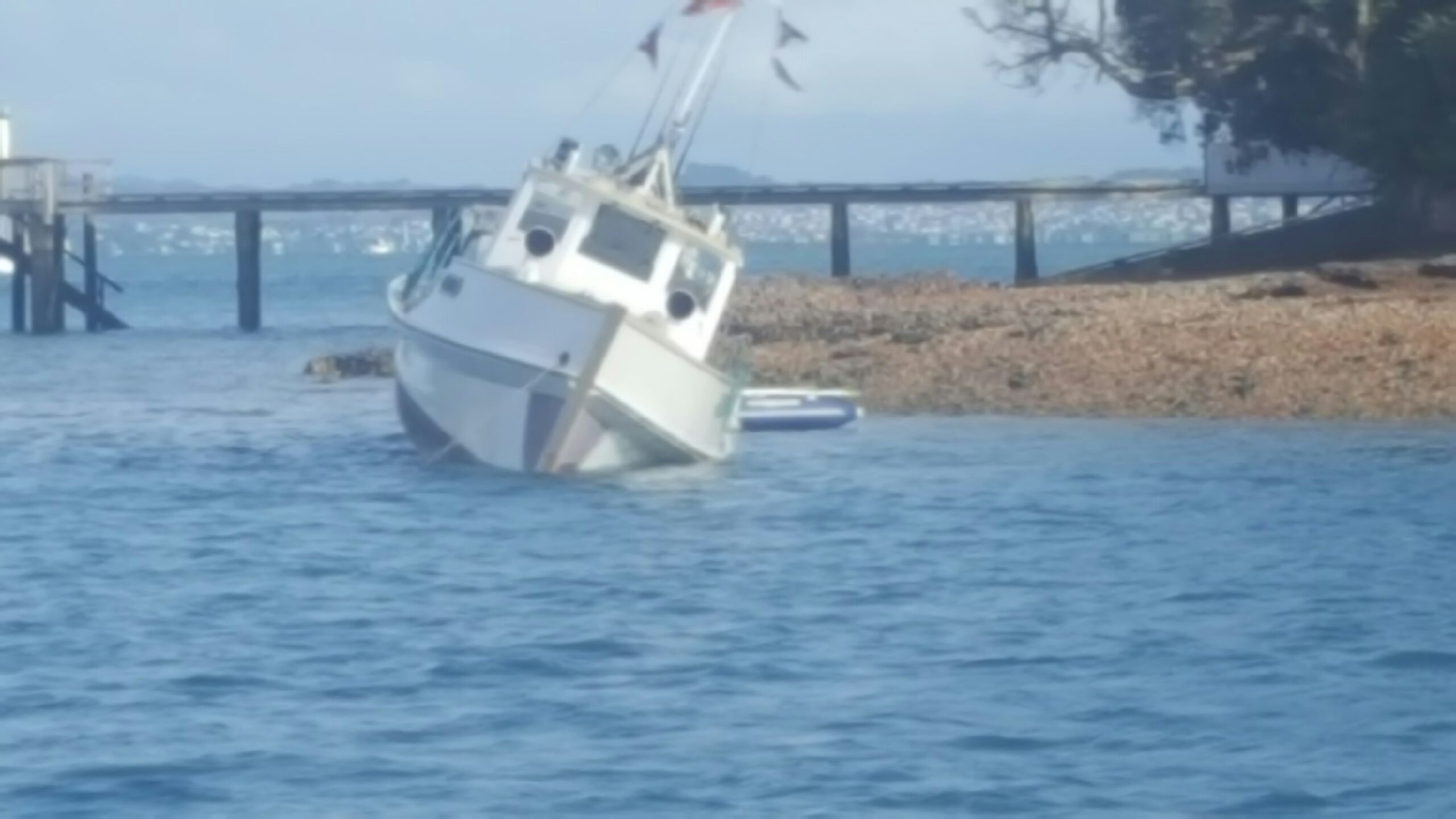 Ferro @ Kawau April2017