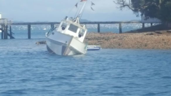 Ferro @ Kawau April2017