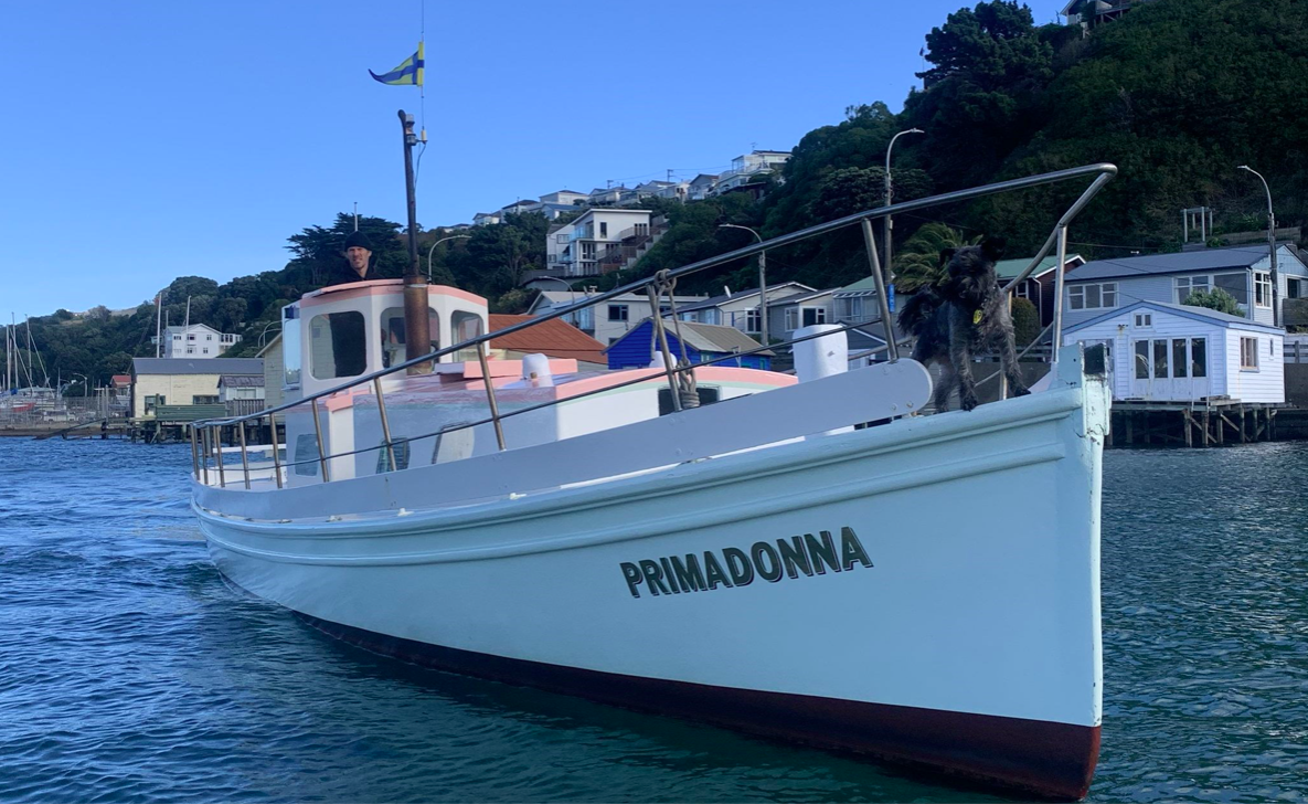 Screen Shot 2020-05-24 at 11.38.54 AM