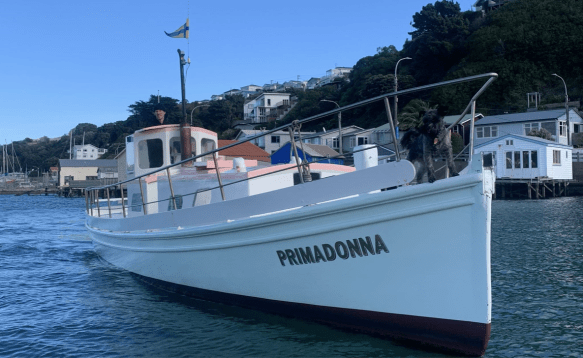 Screen Shot 2020-05-24 at 11.38.54 AM