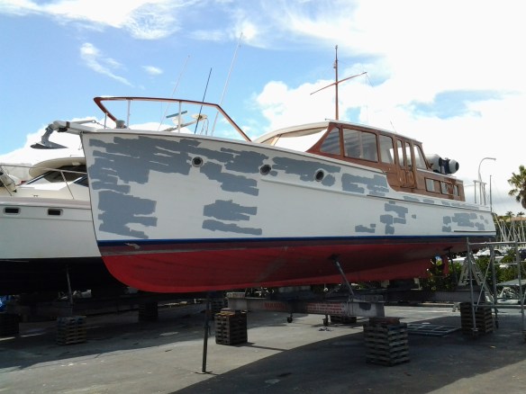 REHIA BY C WILD @ GULF HARBOUR 19.2.17 - 1