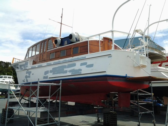 REHIA BY C WILD @ GULF HARBOUR 19.2.17 - 2