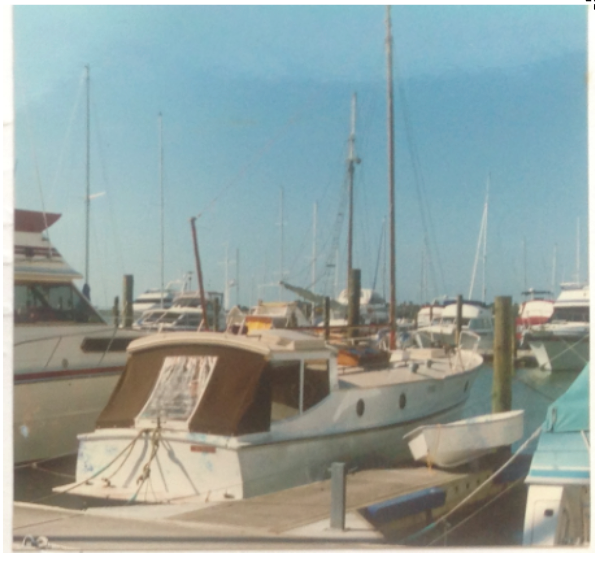 Screen Shot 2017-05-04 at 11.29.18 PM