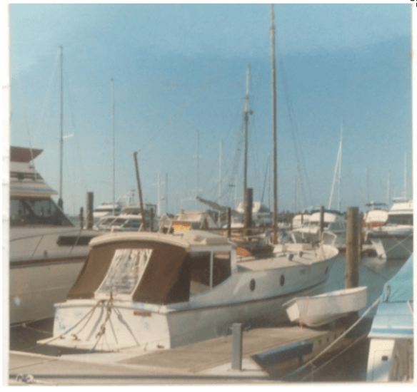 Screen Shot 2017-05-04 at 11.29.18 PM