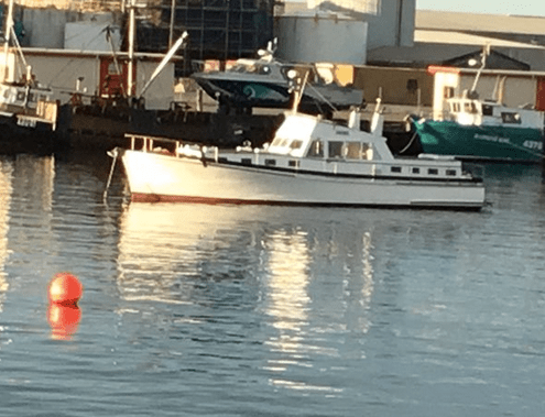 Screen Shot 2017-05-04 at 4.33.55 PM