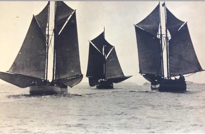 Screen Shot 2017-05-05 at 5.14.08 PM