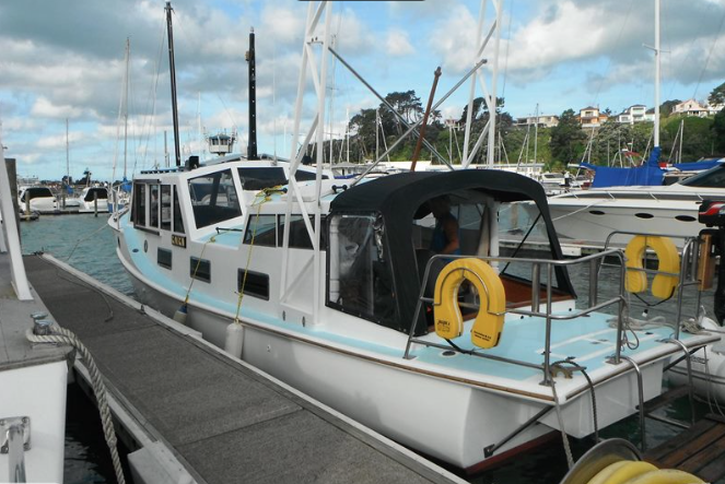 Screen Shot 2017-05-29 at 7.52.03 am