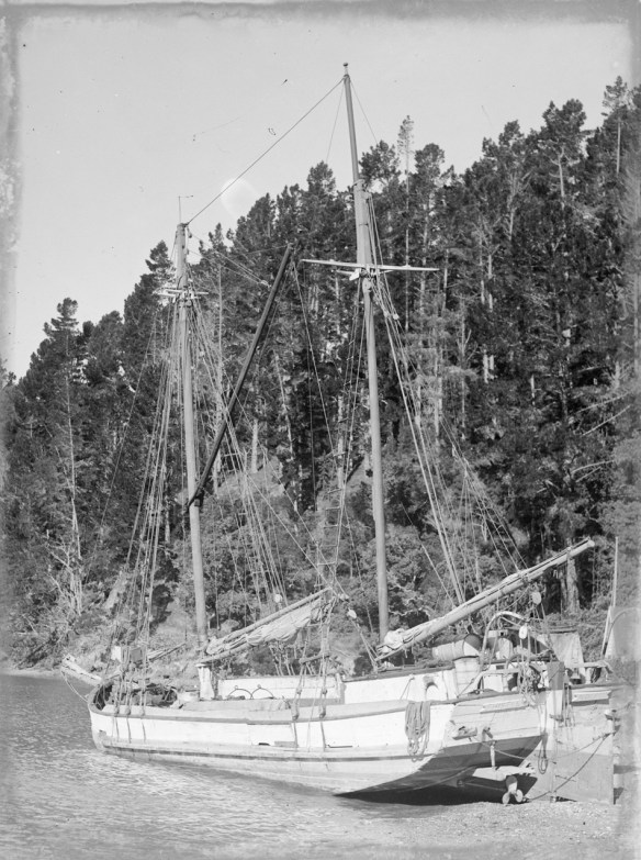 THISTLE - SCOW - KAWAU -1940s