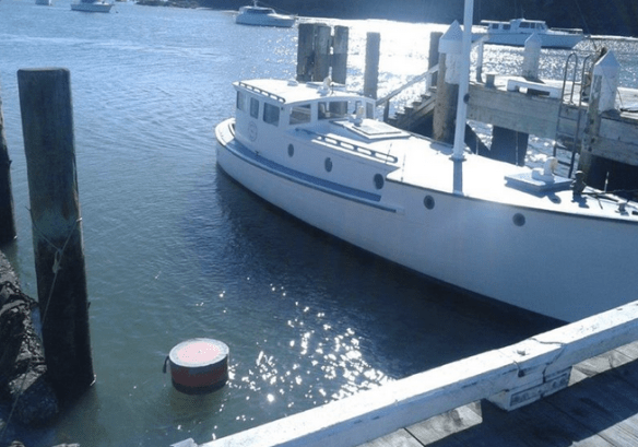 Screen Shot 2017-07-31 at 9.45.24 PM