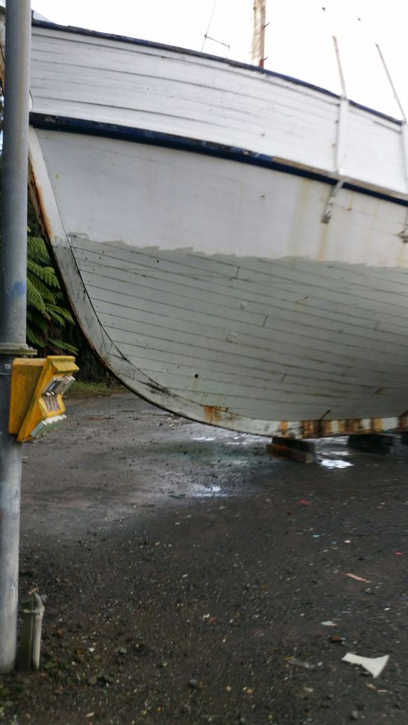 20160527_144247_resized