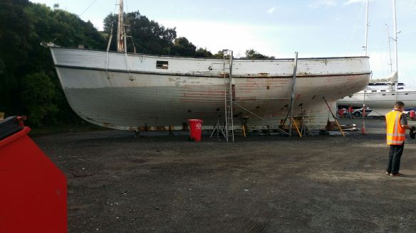 20160527_144410_resized