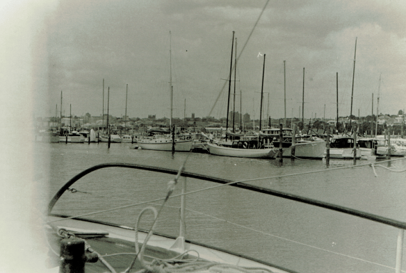 Kotanui Westhaven march 1968