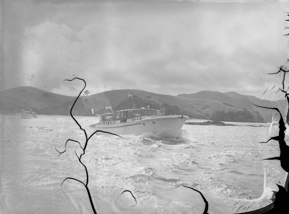 LADY EILEEN &amp; RANGINUI B.O.I. c1952 - TUDOR COLLINS COLLECTION EX MUSEUM I.D. PH-2013-7-TC-B470-15