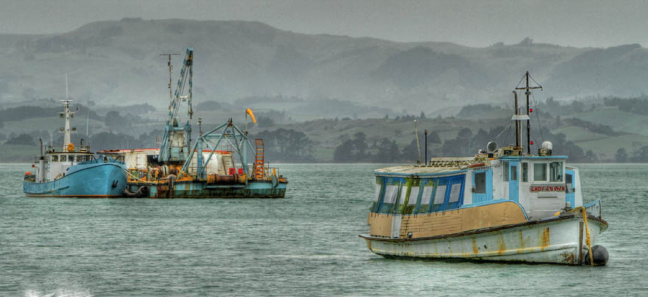 Screen Shot 2017-09-05 at 3.22.03 pm