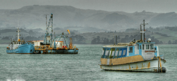 Screen Shot 2017-09-05 at 3.22.03 pm