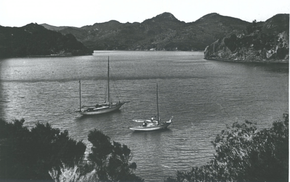 Ilex &amp; Pirate Port Fitzroy