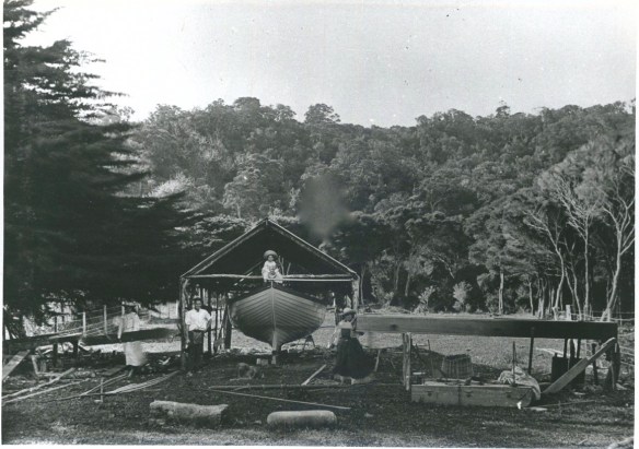 Pirate being built at Little Barrier Is.