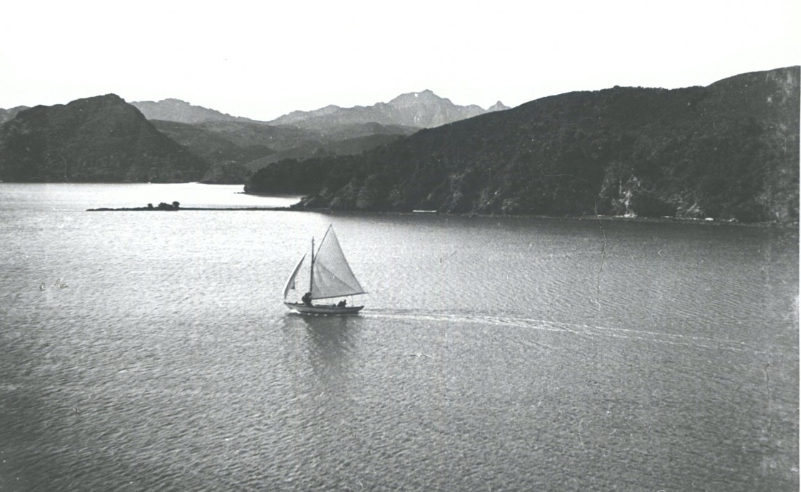 Pirate Port Fitzroy GBI