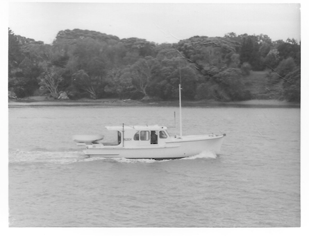 Screen Shot 2017-10-05 at 10.48.46 am