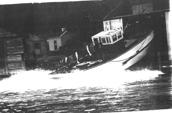 Screen Shot 2017-10-18 at 4.24.13 pm