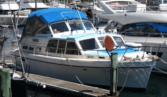 Screen Shot 2017-11-07 at 7.46.17 am