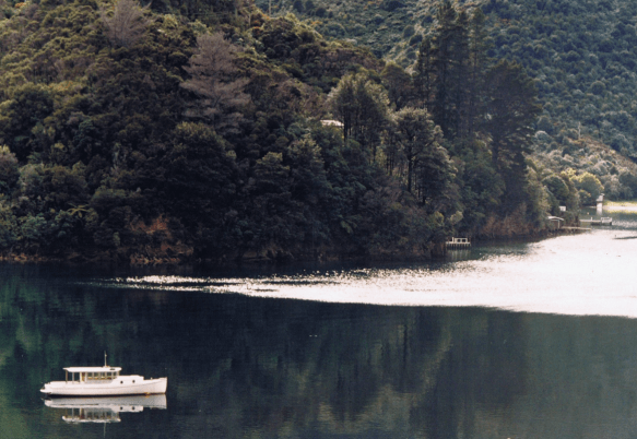 Screen Shot 2017-11-08 at 10.36.06 am