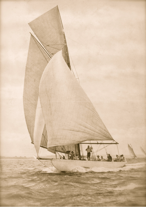 Screen Shot 2017-12-07 at 11.50.35 am