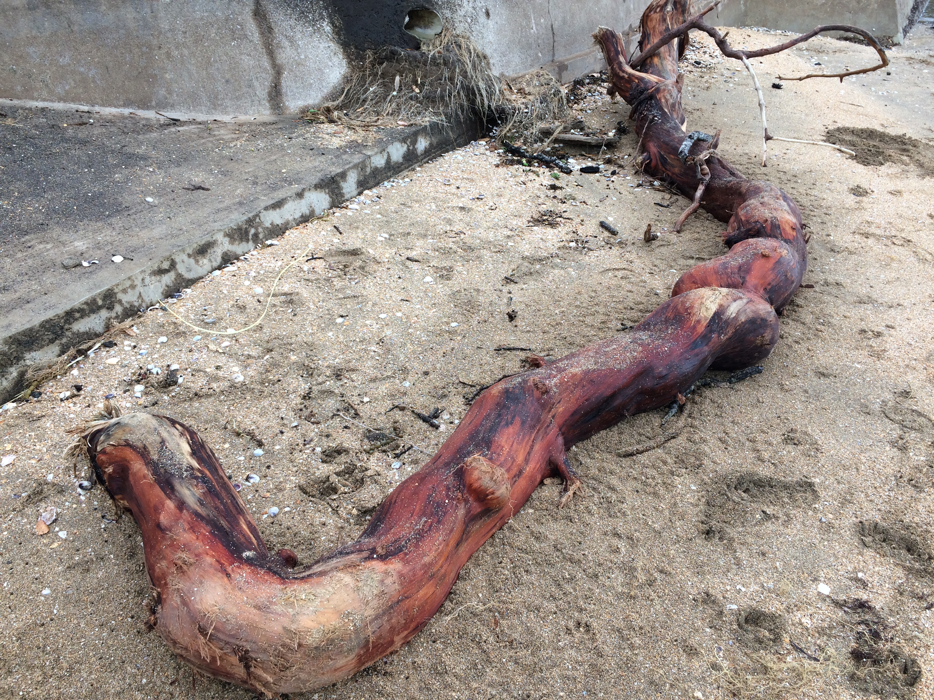 F61E033F-6873-4604-AB1A-529439FDE85F