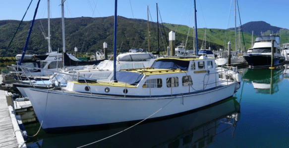 Screen Shot 2018-01-13 at 12.50.09 pm