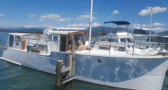 Screen Shot 2018-01-18 at 3.56.58 pm